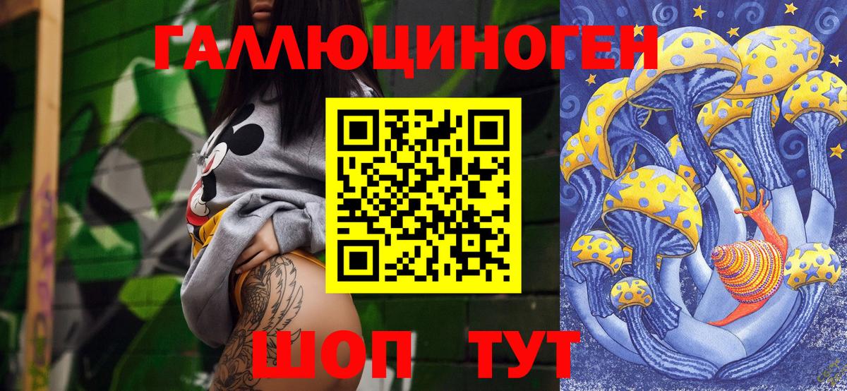 Сосновый Бор  Псилоцибиновые грибы Psilocybe  Вход с VPN 