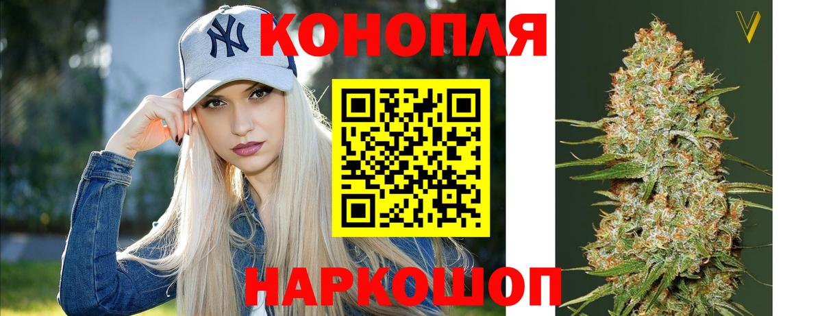 Канабис ГИДРОПОН Сосновый Бор